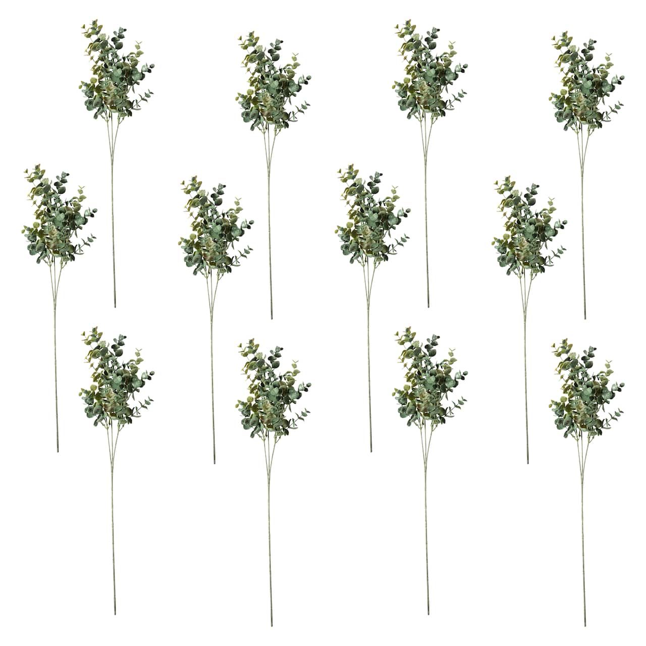 12 Pack: Green Eucalyptus Stem by Ashland®